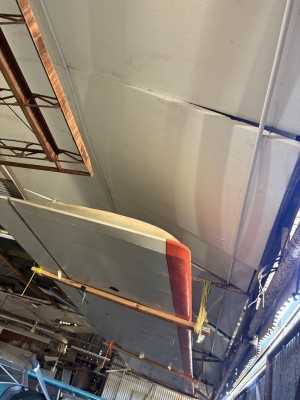 grega one piece wing.jpg